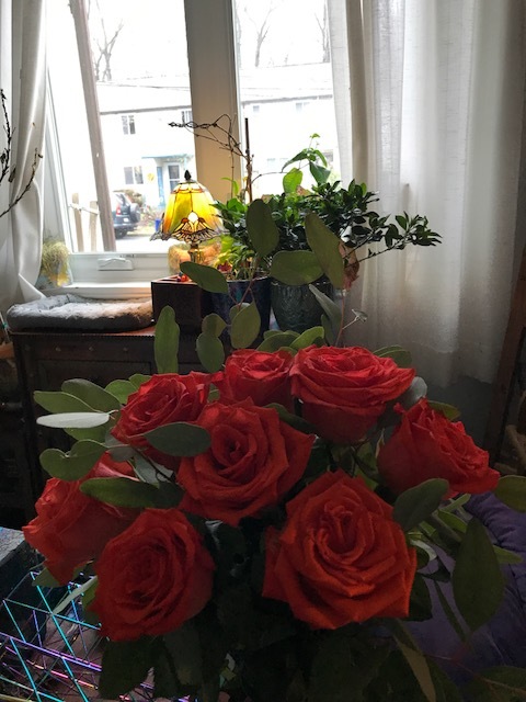 Orange Roses